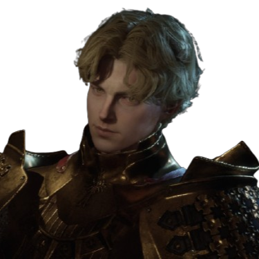 paladin class chrono odyssey wiki guide